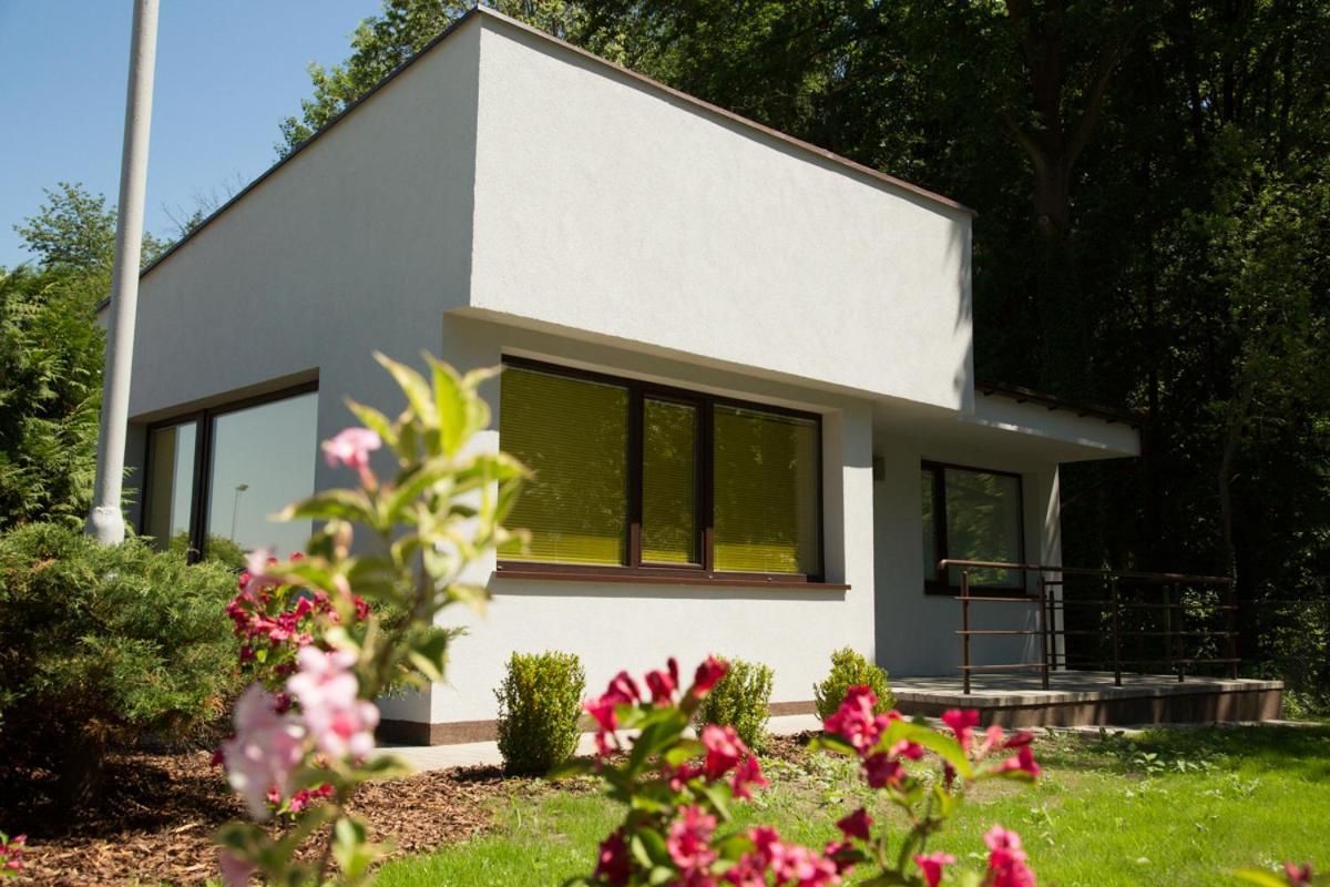 Camping Oaza Blonie Kornik Domki Standard Plus - 3 Pokoje Εξωτερικό φωτογραφία